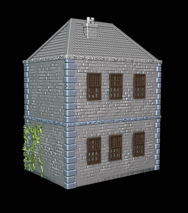 Two floors house with ivy